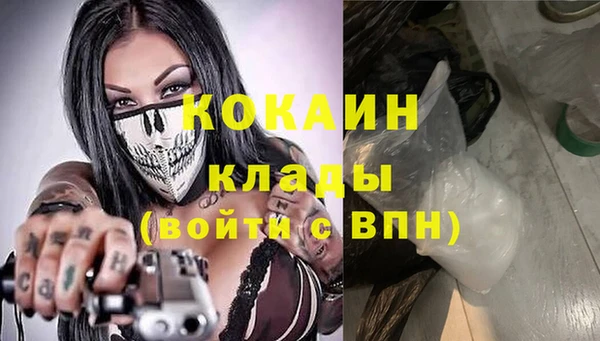 стафф Алексин