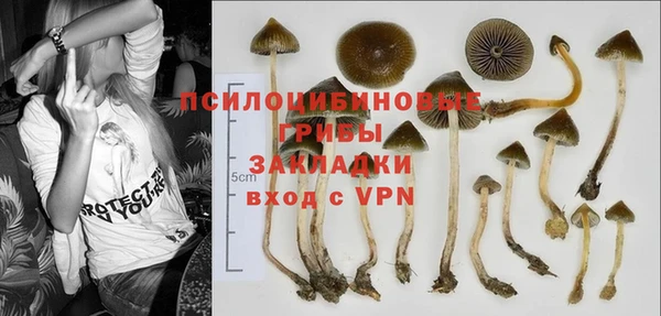МДПВ Абинск