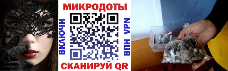 kraken зеркало  Новопавловск  Псилоцибиновые грибы ЛСД 