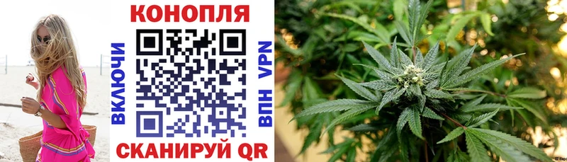 Бошки марихуана MAZAR  гидра вход  Новопавловск 